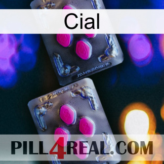 Cial 01